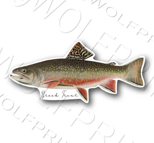 Brook Trout Fish Sticker 6" or 11" Wide Walleye Bass Boat Car Window Decal