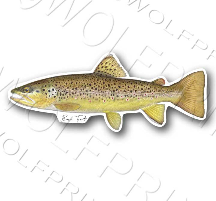 Brown Trout Fish Sticker 6" or 11" Wide Walleye Bass Boat Car Window Decal