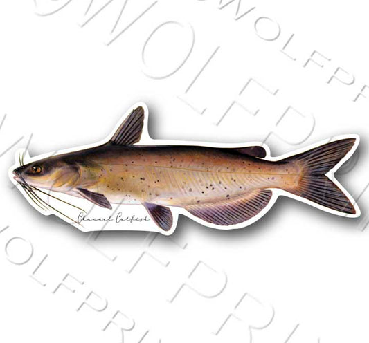 Channel Catfish Fish Sticker 6" or 11" Wide Walleye Bass Boat Car Window Decal
