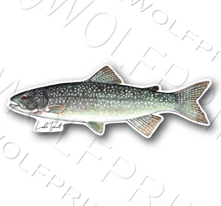 Lake Trout Fish Sticker 6" or 11" Wide Walleye Bass Boat Car Window Decal