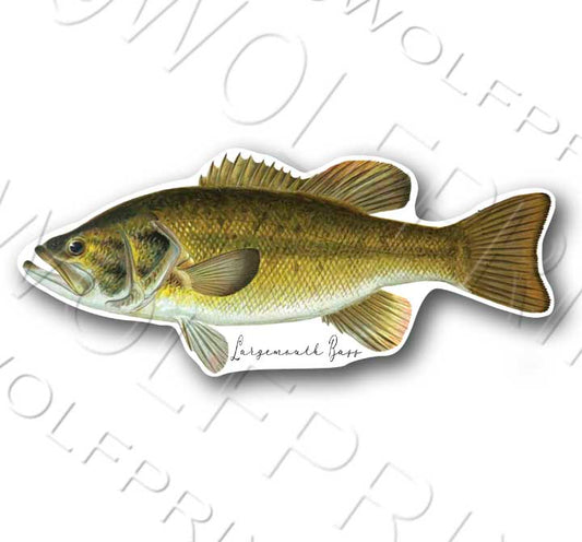 Largemouth Bass Fish Sticker 6" or 11" Wide Walleye Bass Boat Car Window Decal