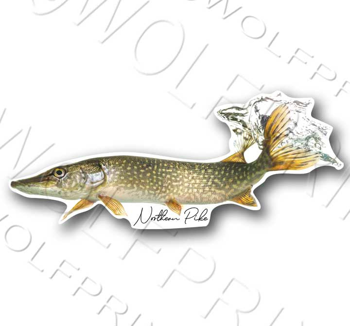 Northern Pike Fish Sticker 6" or 11" Wide Walleye Bass Boat Car Window Decal