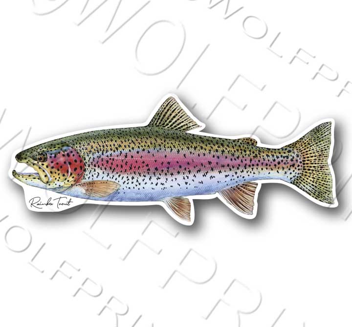 Rainbow Trout Fish Sticker 6" or 11" Wide Walleye Bass Boat Car Window Decal