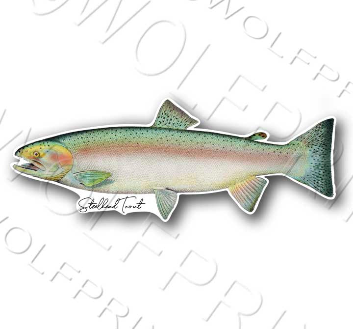 Steelhead Trout Fish Sticker 6" or 11" Wide Walleye Bass Boat Car Window Decal