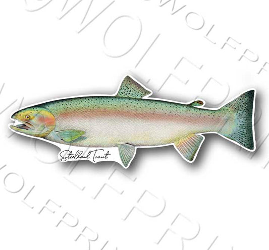Steelhead Trout Fish Sticker 6" or 11" Wide Walleye Bass Boat Car Window Decal