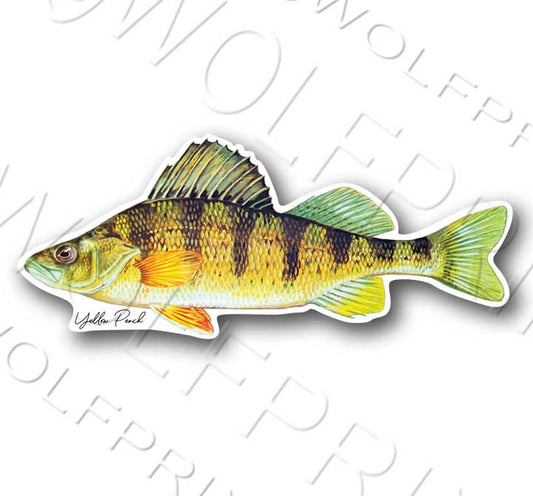 Yellow Perch Fish Sticker 6" or 11" Wide Walleye Bass Boat Car Window Decal