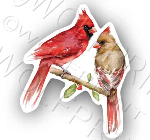 Cardinal Birds 4.75" Tall Sticker Wild Birds Watcher Decal