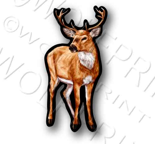 Deer Buck 4.75" Tall Sticker Outdoor Sportsman Hunting Decal Whitetail