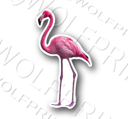 Pink Flamingo Sticker 5.1" Tall Pink Bird Decal