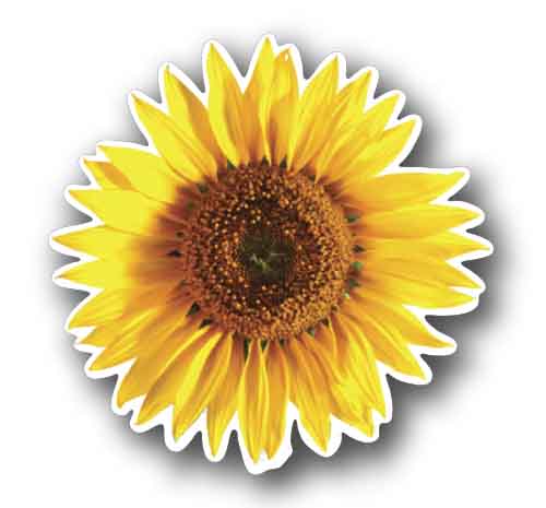 Sunflower Decal Sticker 4" Round Waterproof Vinyl