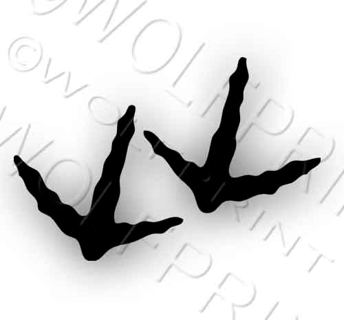 2 Black Wild Turkey Bird Tracks 2" Tall Each Sticker Game Hunter Decal