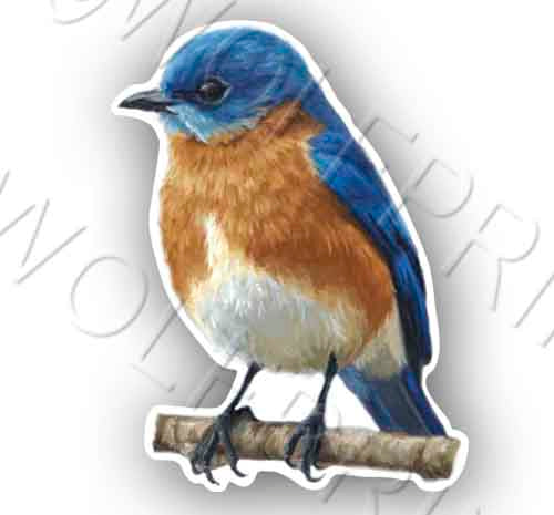 Bluebird 4.75" Tall Sticker Wild Birds Watcher Decal