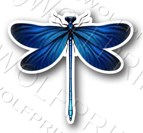 Dragonfly Sticker 4" Tall Blue Butterfly Insect Decal
