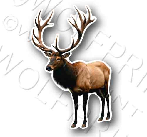 Elk 5.5" Tall Sticker Outdoor Sportsman Hunting Decal