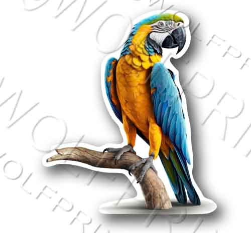 Blue and Gold McCaw Sticker 5" Tall Parrot Bird Decal