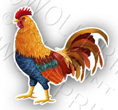 Rooster Chicken 4.5" Tall Sticker Rooster Hen Birds Decal